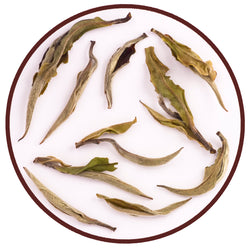 Fuding White Peony (Fuding Bai Mu Dan)  - Leilani Fine Tea